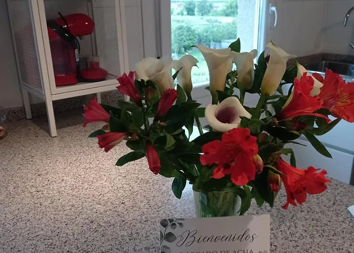 El Legado De Acha * Cambados